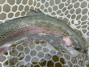 4月25日（土）三芳町　cima cimaさん