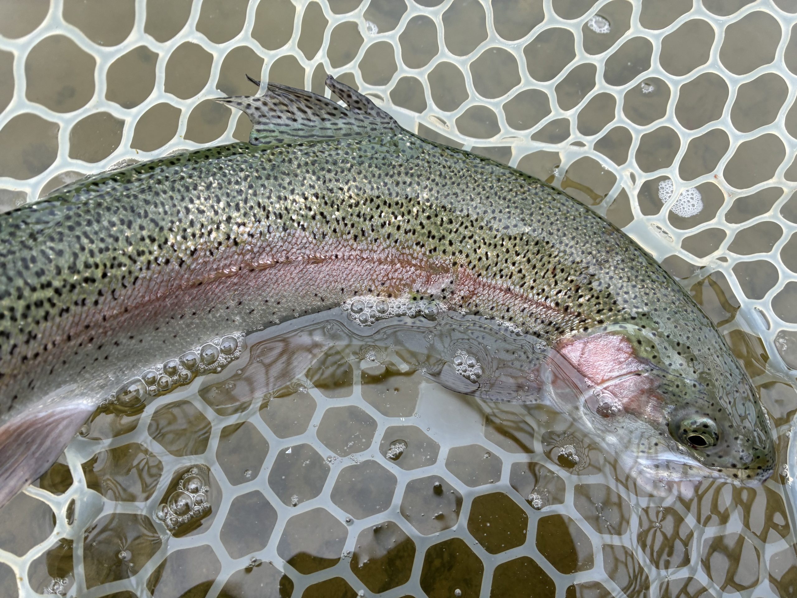 4月25日（土）三芳町　cima cimaさん