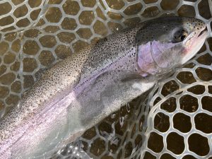 4月26日(日)　小平市　しいたけさん