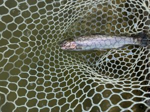 4月19日（日）八王子市　せっきーさん