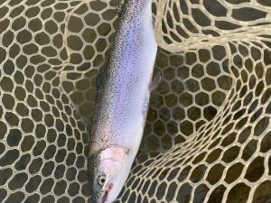 4月21日(火)　坂戸市　タロヤンさん