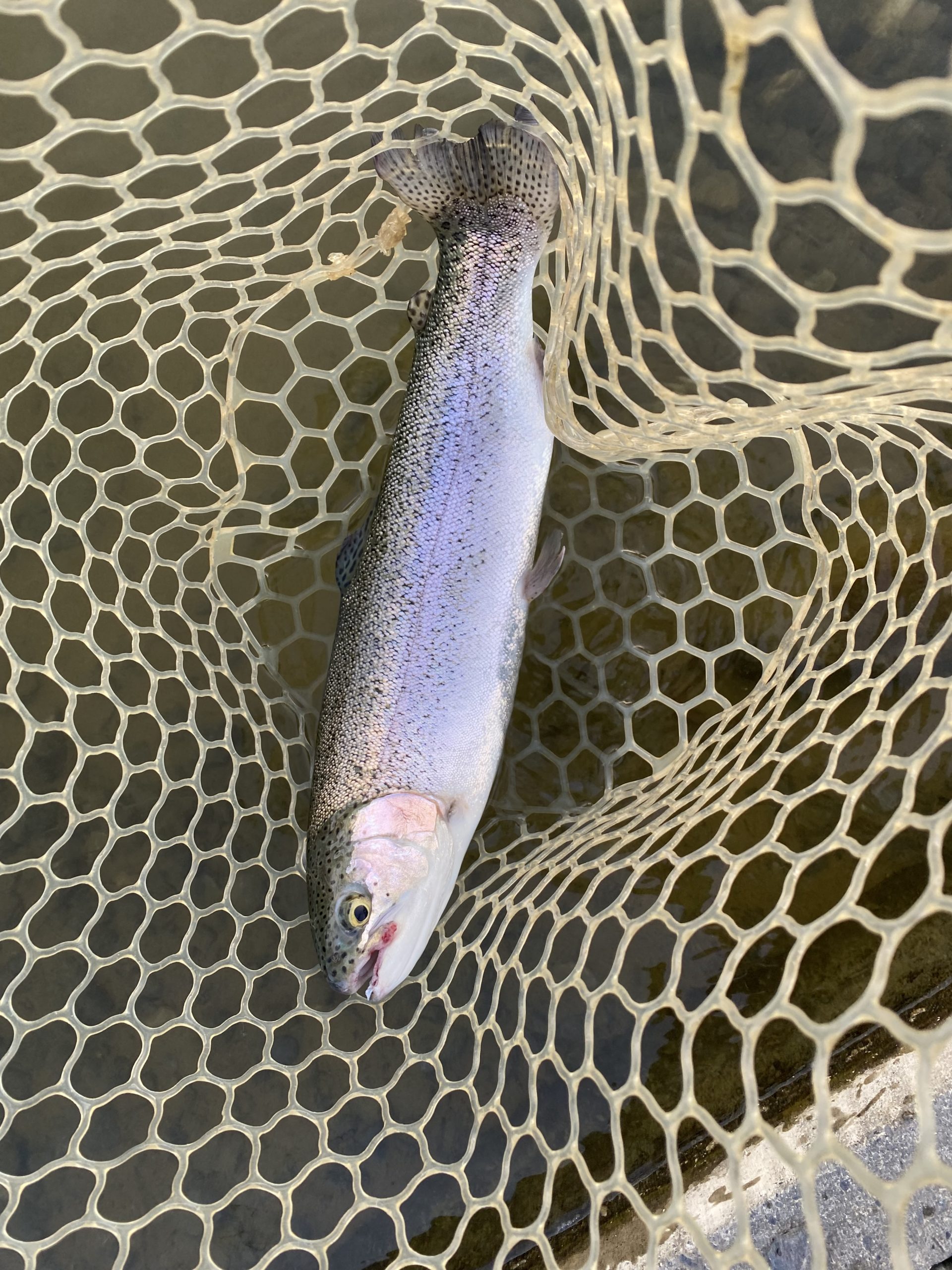 4月21日(火)　坂戸市　タロヤンさん
