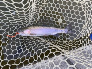 4月28日（火）坂戸市　タロヤンさん