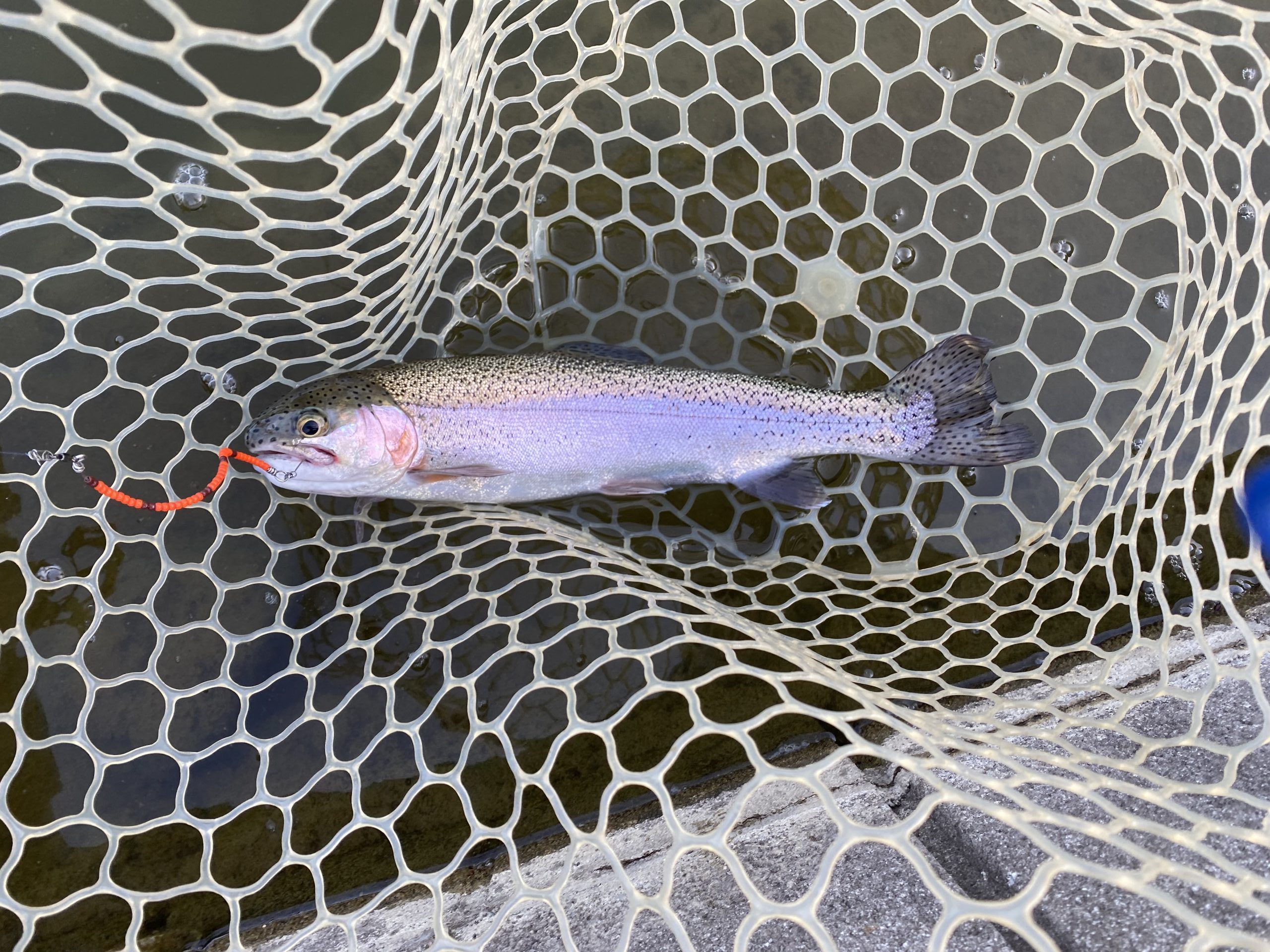 4月28日（火）坂戸市　タロヤンさん