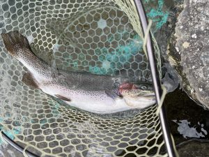 4月6日（月）八王子市　HGさん