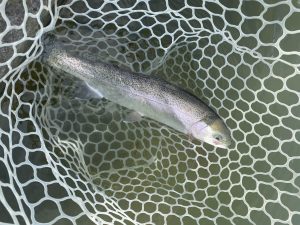 4月5日（日）　浦安市　 kpさん