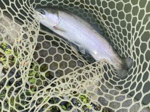 4月10日（金）浦安市　kpさん