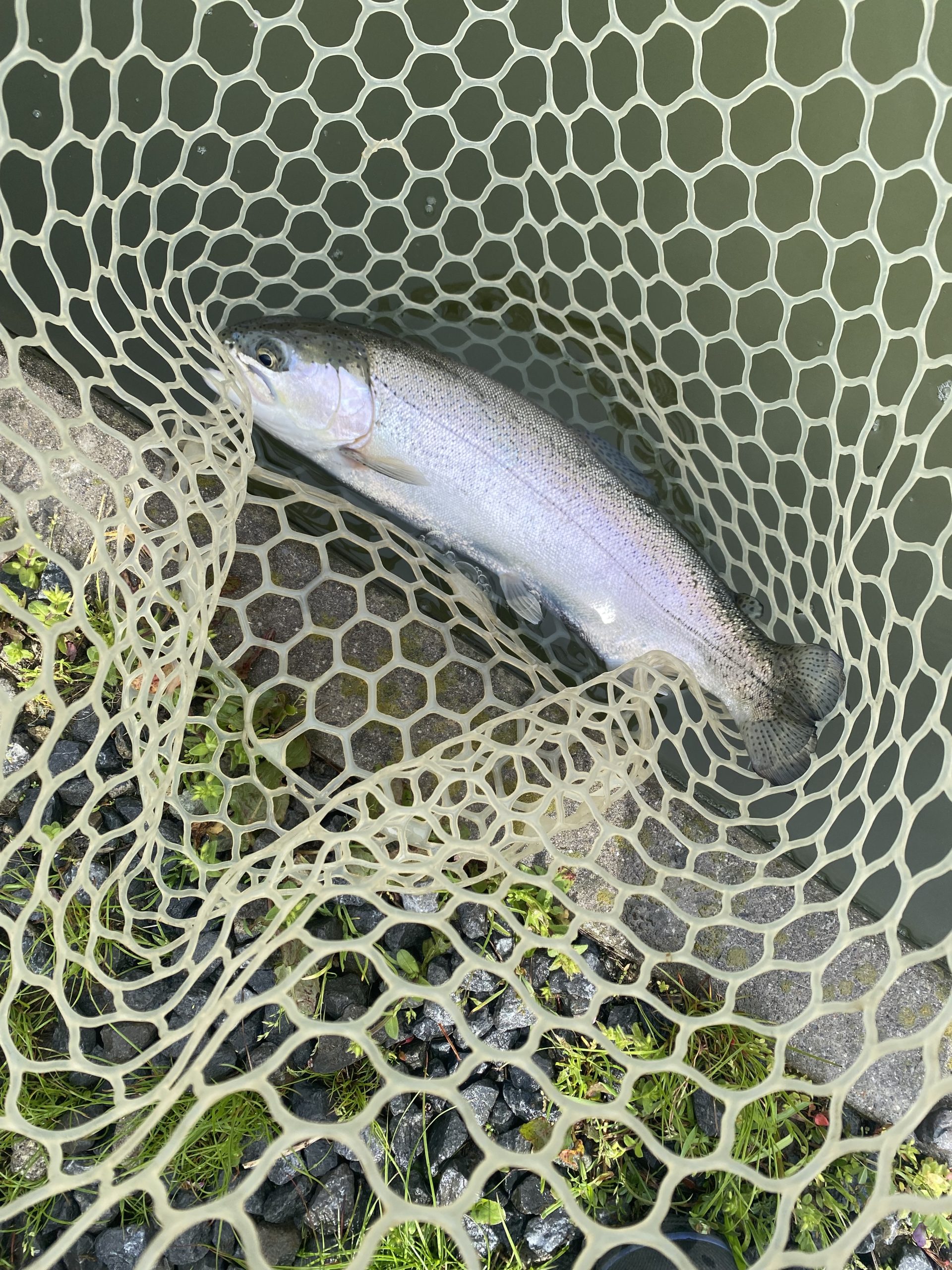 4月10日（金）浦安市　kpさん