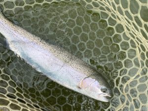 4月26日（土）府中市　kpさん