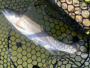 4月12日（日）国立市　K.Tさん