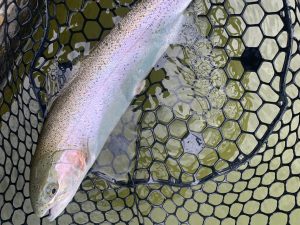 4月13日（月）国立市　K.Tさん