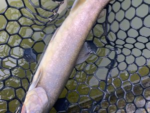 4月17日(金)　国立市　K.Tさん