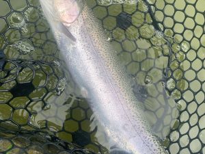 4月21日(火)　国立市　K.Tさん