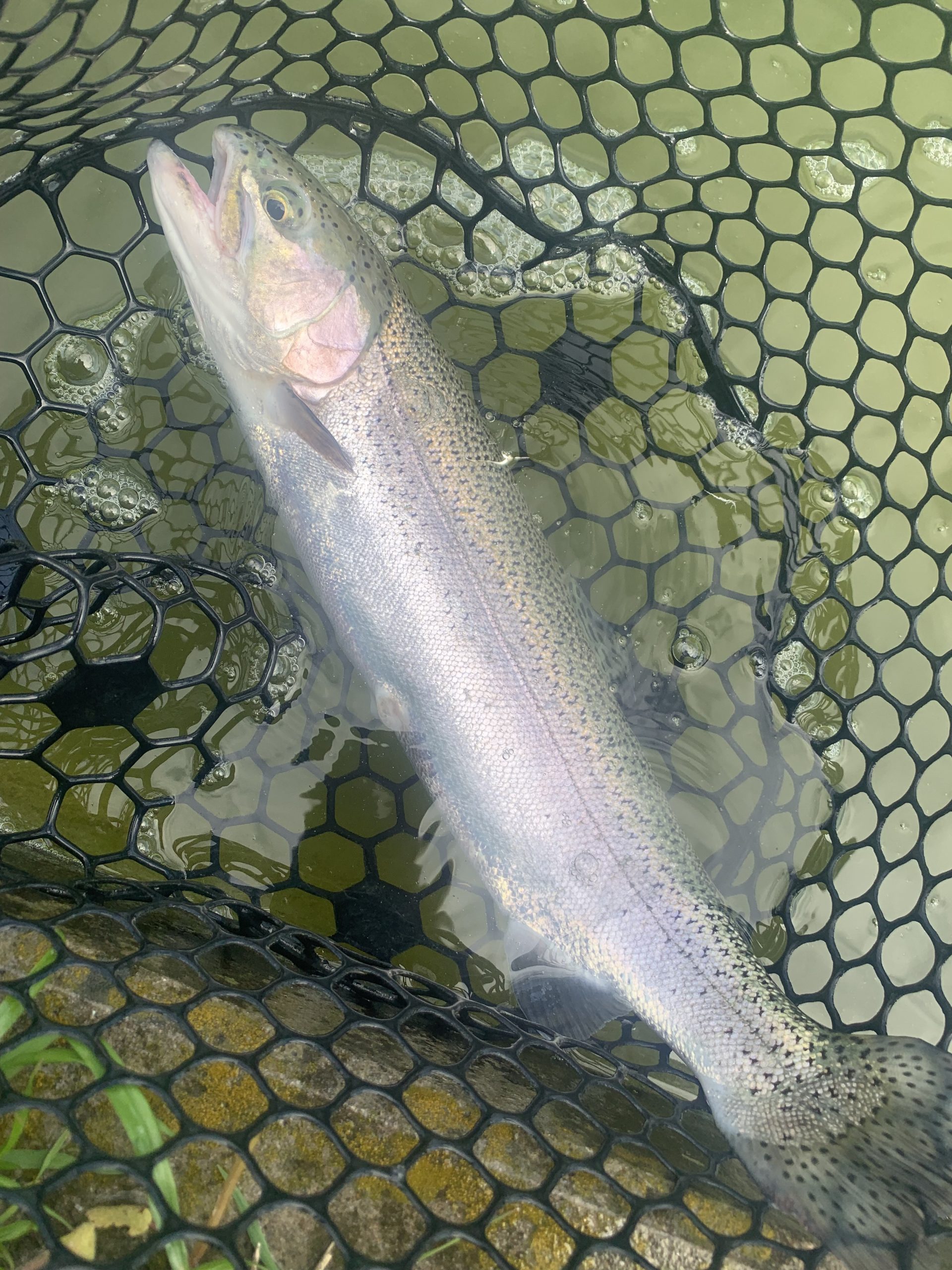 4月21日(火)　国立市　K.Tさん