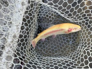 4月22日（水）あきる野市　野口さん