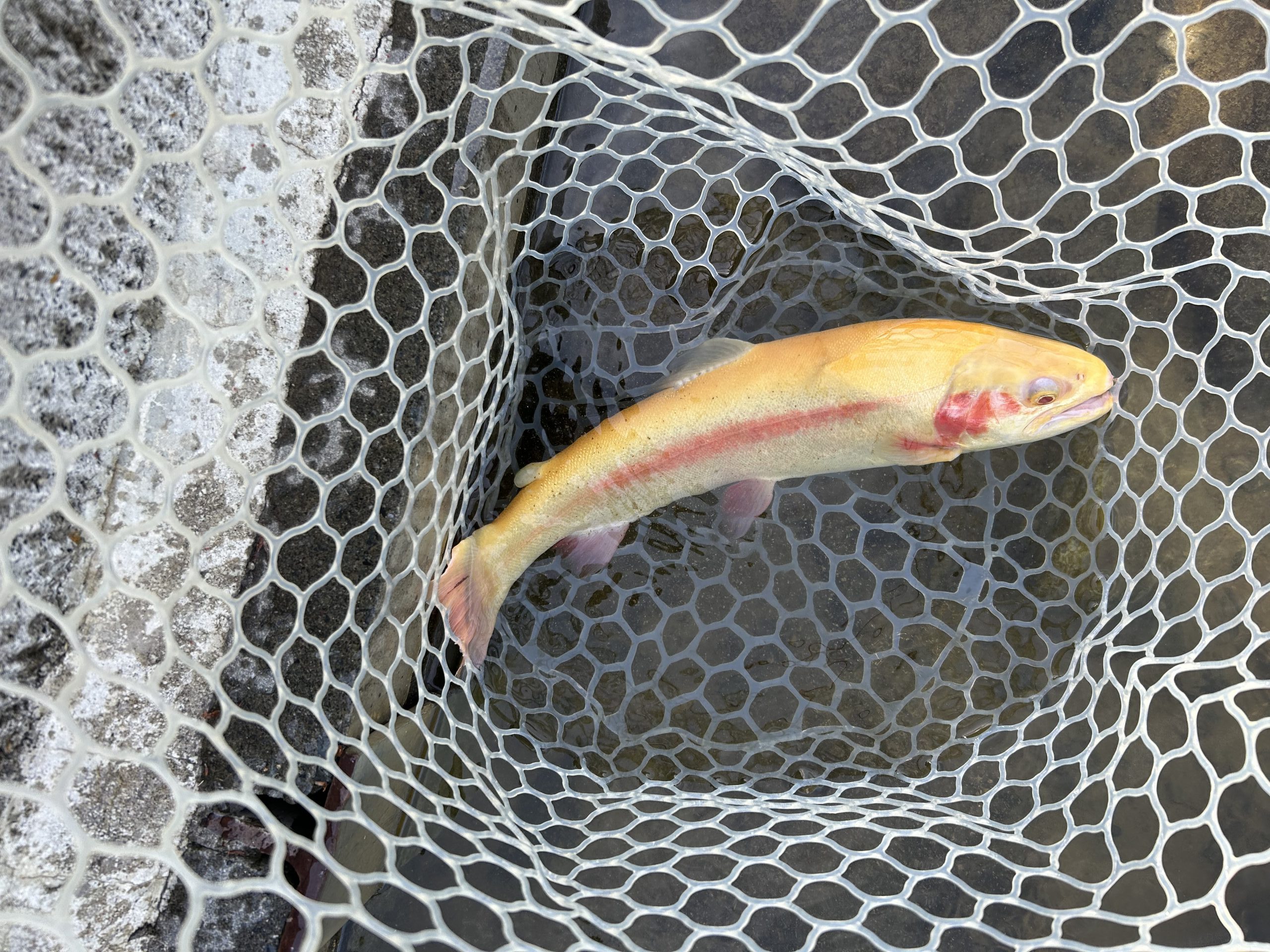 4月22日（水）あきる野市　野口さん