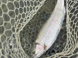 4月24日(金)あきる野市　野口さん