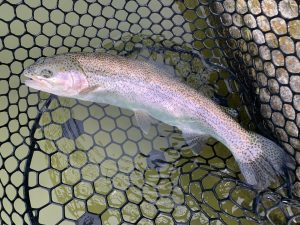 4月26日（日）国立市　K.Tさん