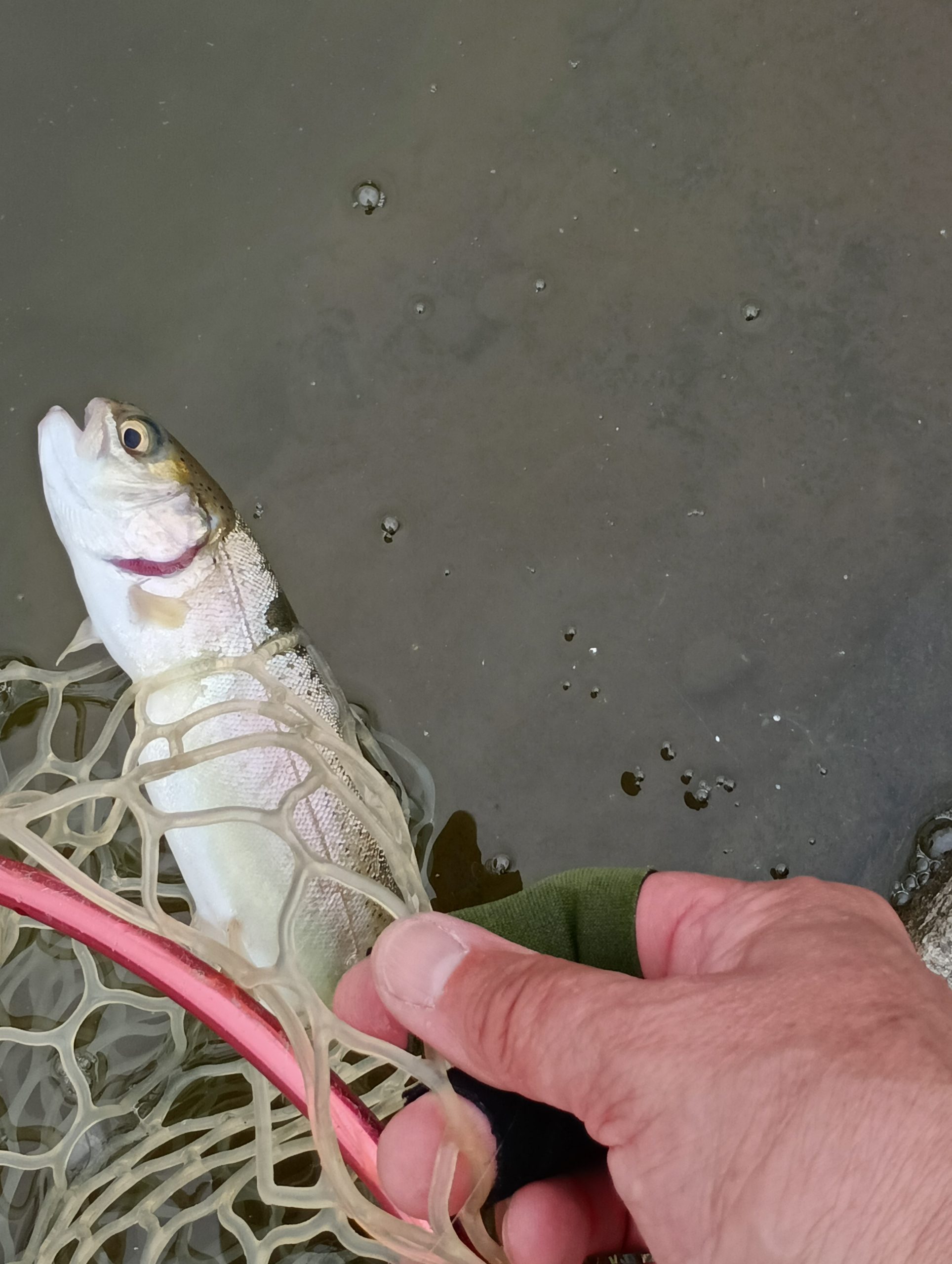 4月5日(日)三鷹市 くにザイルさん