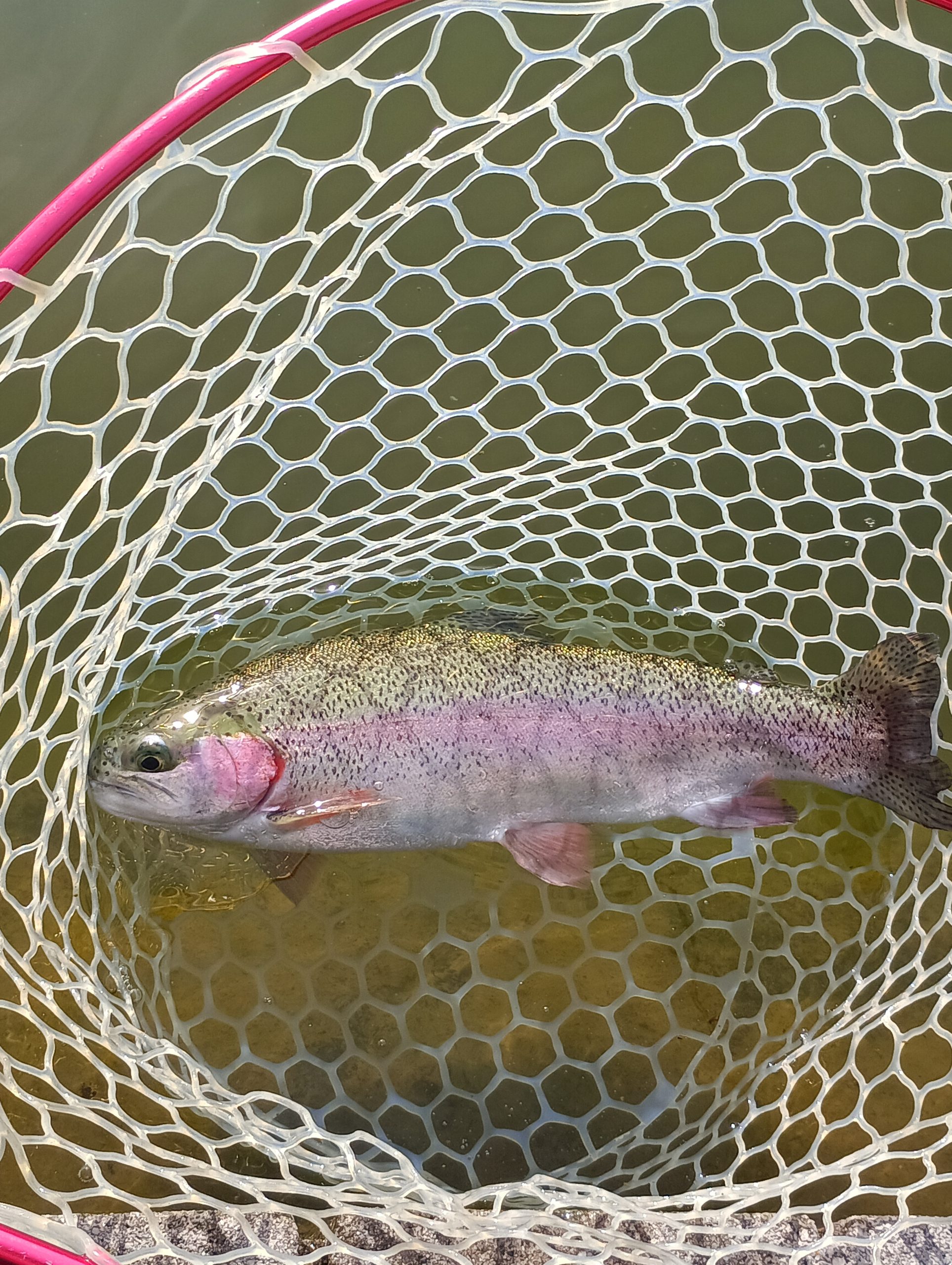 4月19日（日）三鷹市　くにザイルさん