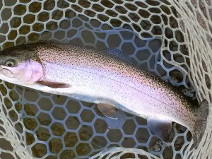 4月29日（水）三鷹市　くにザイルさん