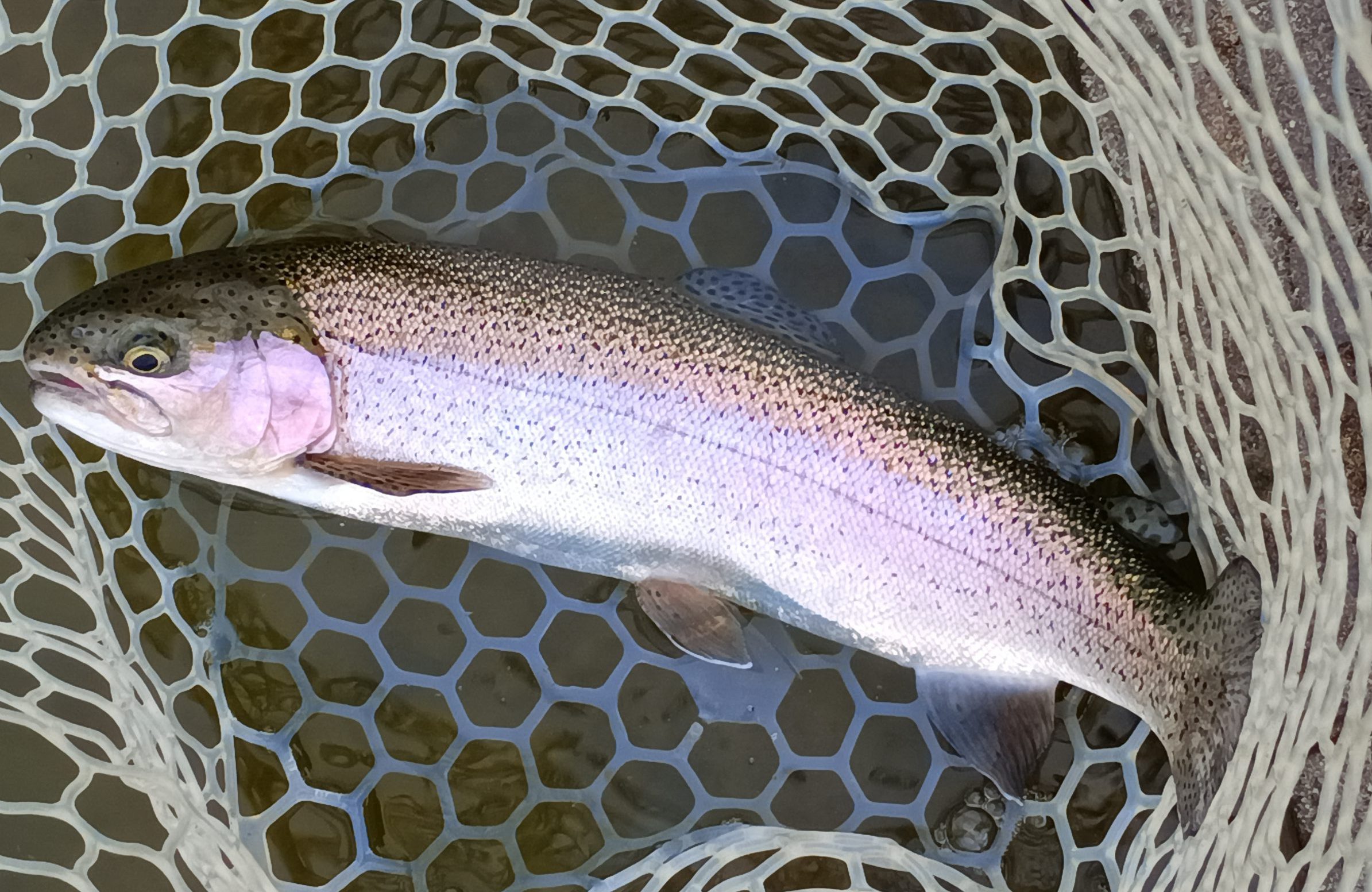 4月29日（水）三鷹市　くにザイルさん