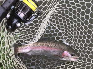 4月27日（月）日野市　オグさん