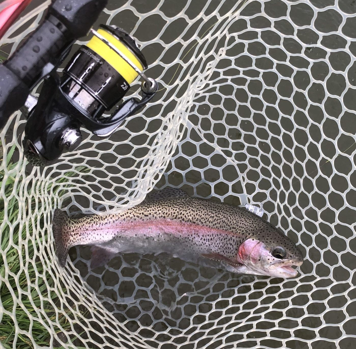 4月27日（月）日野市　オグさん