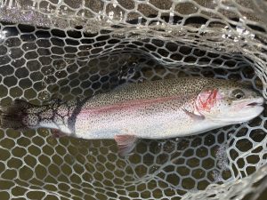 4月8日（水）小平市　MORIさん