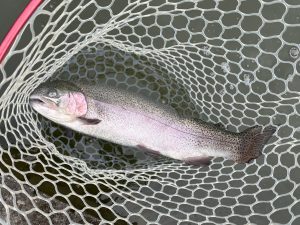 4月17日(金)　小平市　MORIさん