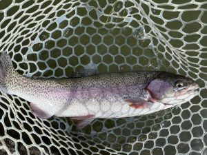 4月22日（水）小平市　MORIさん