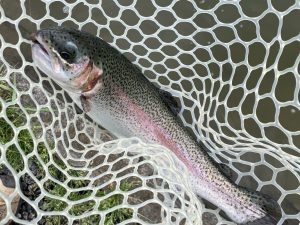 4月29日（水）羽村市　うにねこさん