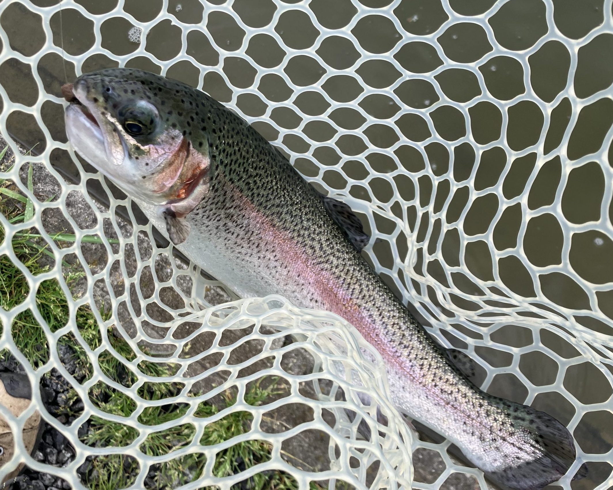 4月29日（水）羽村市　うにねこさん