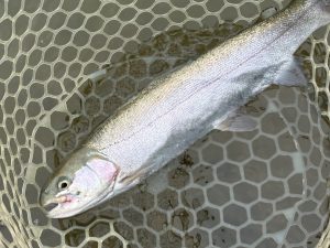 4月7日（火）　青梅市　シモちゃんさん