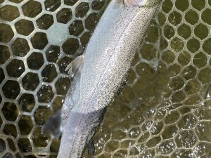 4月27日(月)　青梅市　しもしゃんさん