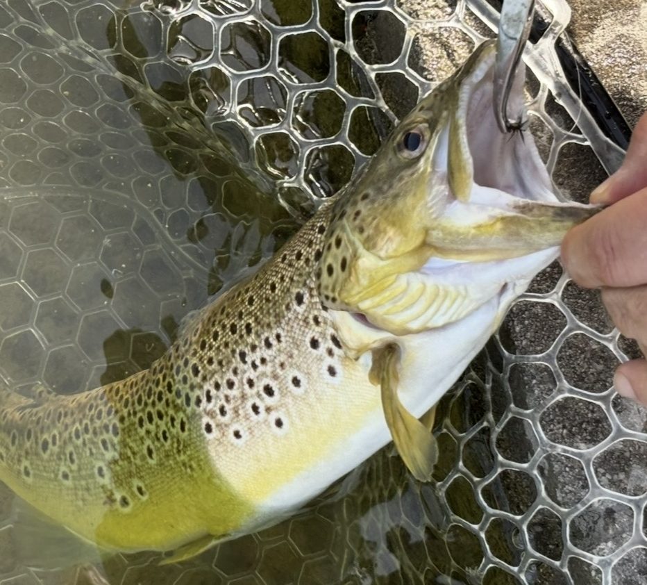 4月30日（木）青梅市　しもしゃんさん