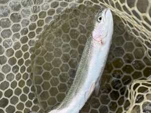 4月10日（金）青梅市　鈴木さん