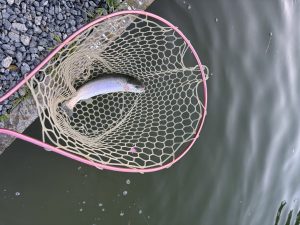 4月20日（月）入間市　大西さん