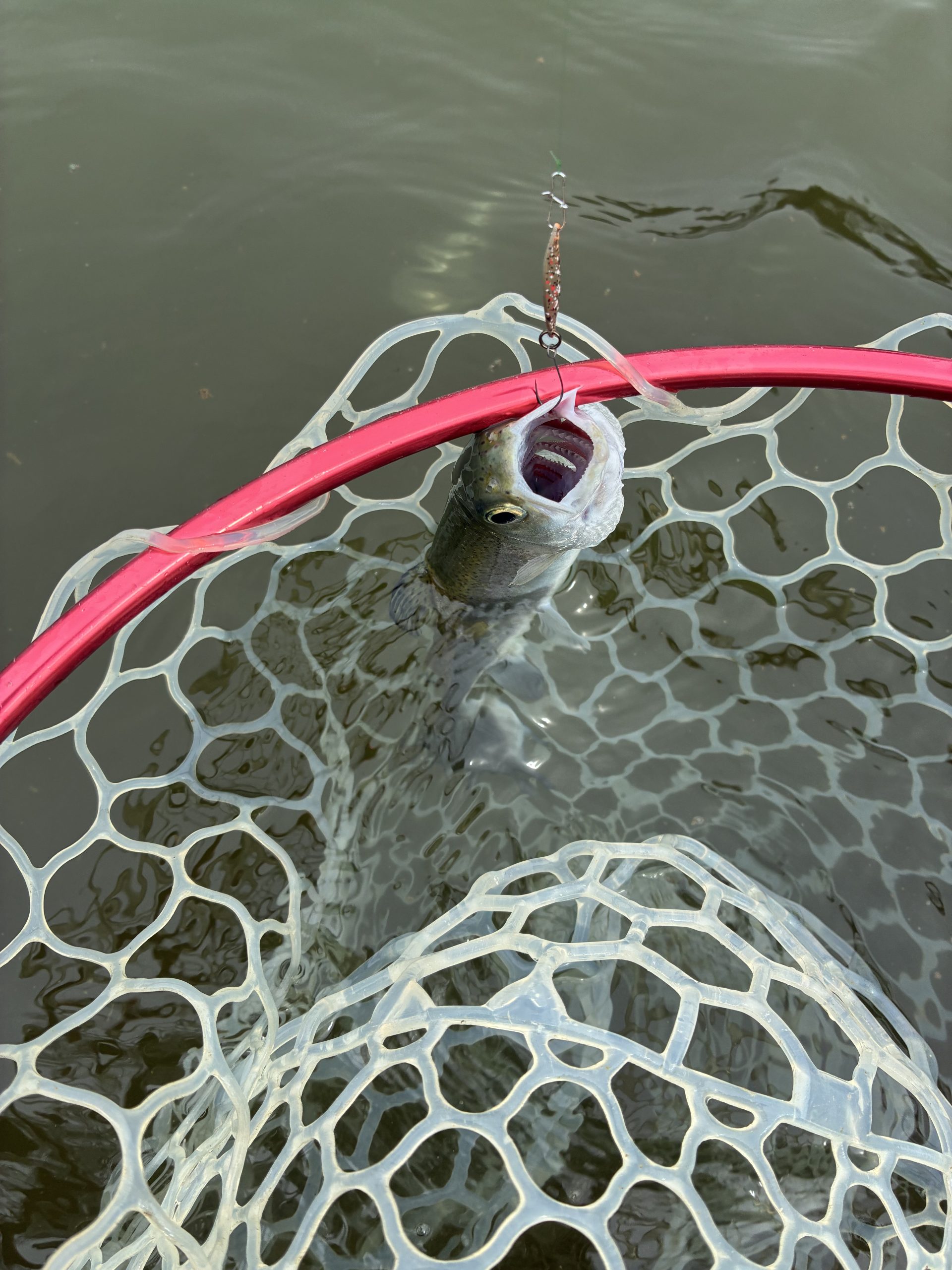 4月6日（月）八王子市　マーポーさん