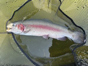 4月3日（金）町田市　から揚げ班長さん