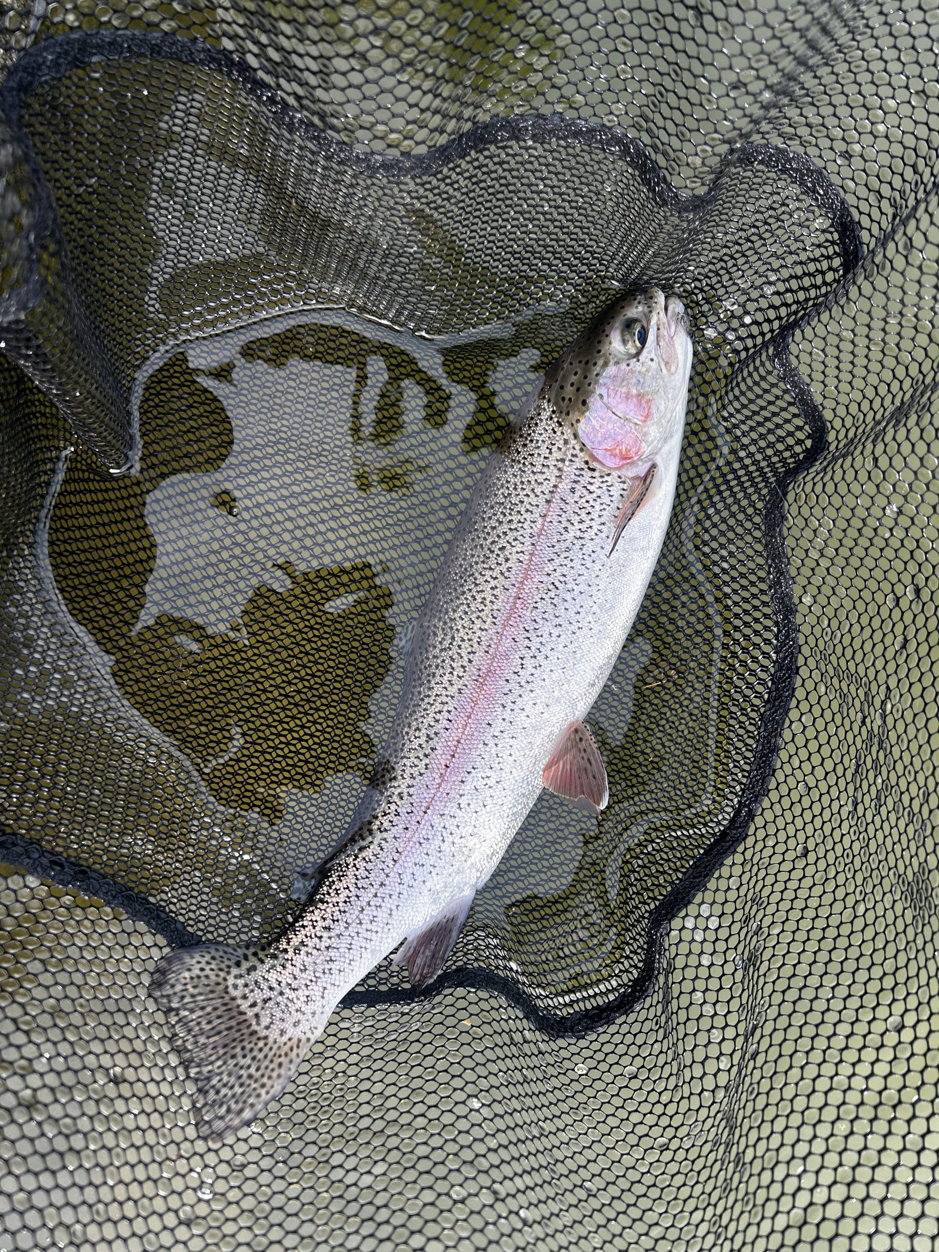 4月17日(金)　町田市　から揚げ班長さん