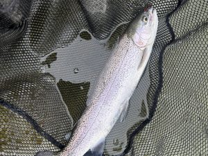 4月24日（金）町田市　から揚げ班長さん