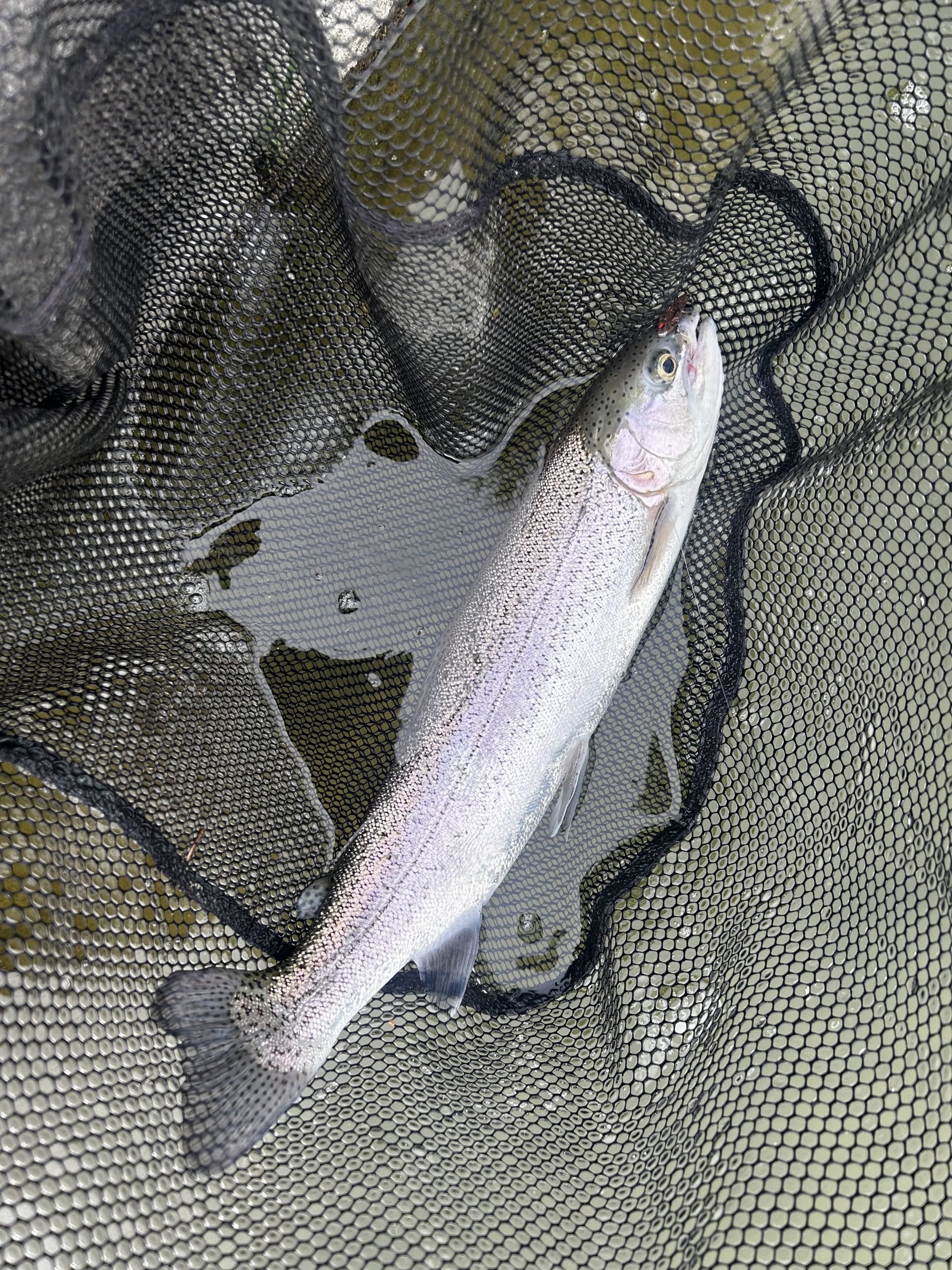 4月24日（金）町田市　から揚げ班長さん