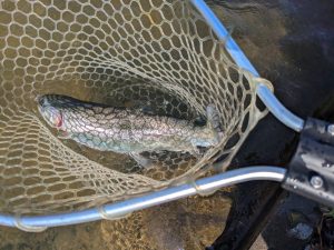 4月3日（金）小金井市　山本さん