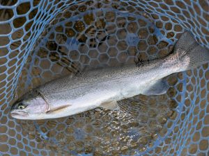 4月6日（月）茅ケ崎市　スーさん　さん