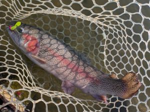 4月8日（水）西東京市　hiroさん