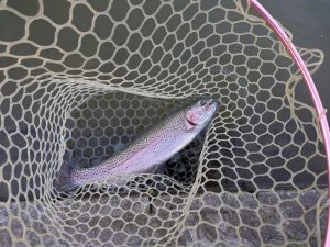 4月8日（水）狭山市　Getyさん