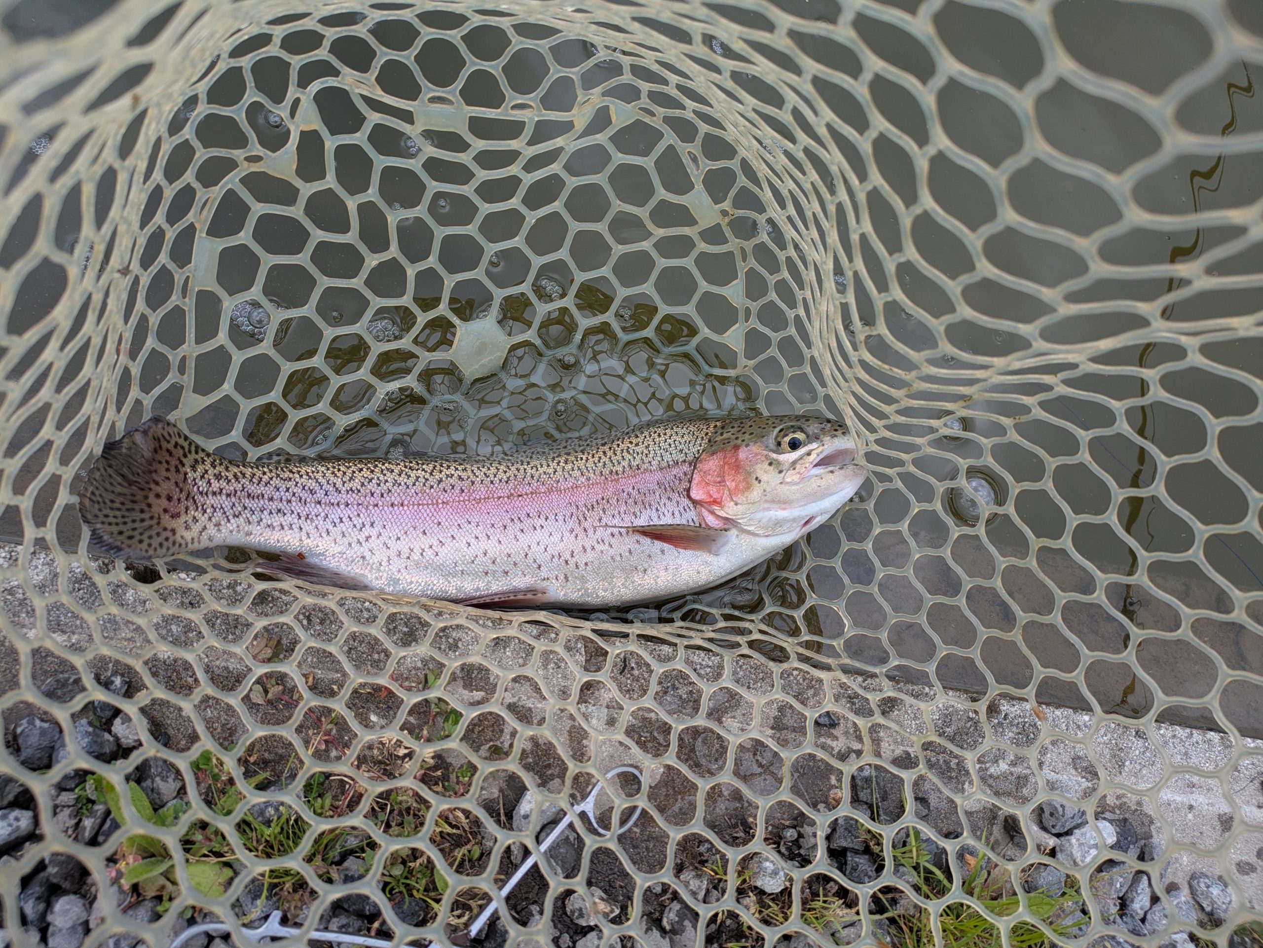 4月14日（火）　狭山市　Getyさん