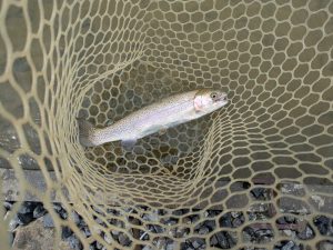 4月20日（月）狭山市　Getyさん