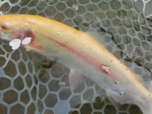 4月6日（月）入間市　寒いの苦手さん